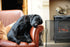 After the Walk Art Canvas